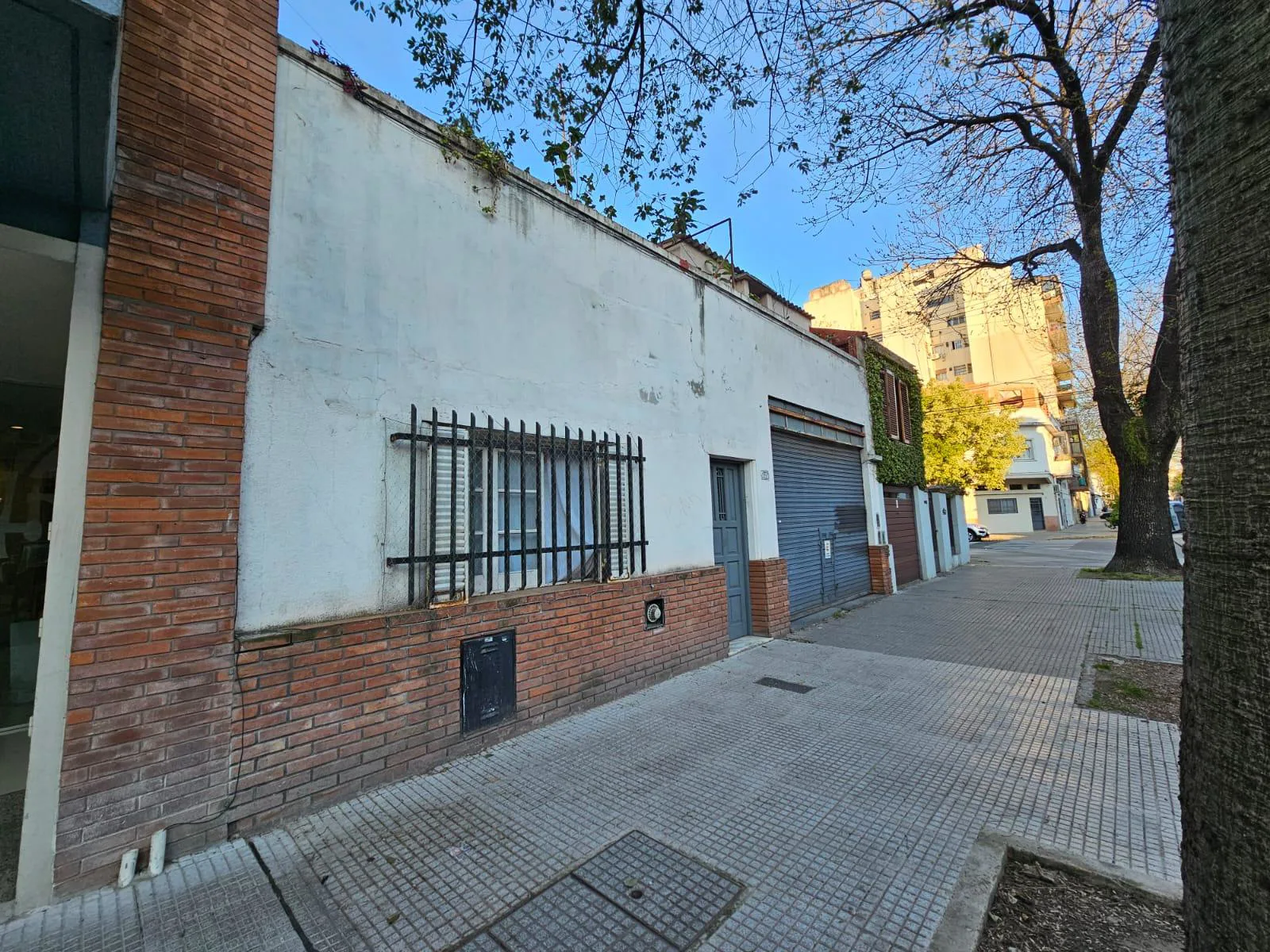 Terreno en Saavedra - foto 2