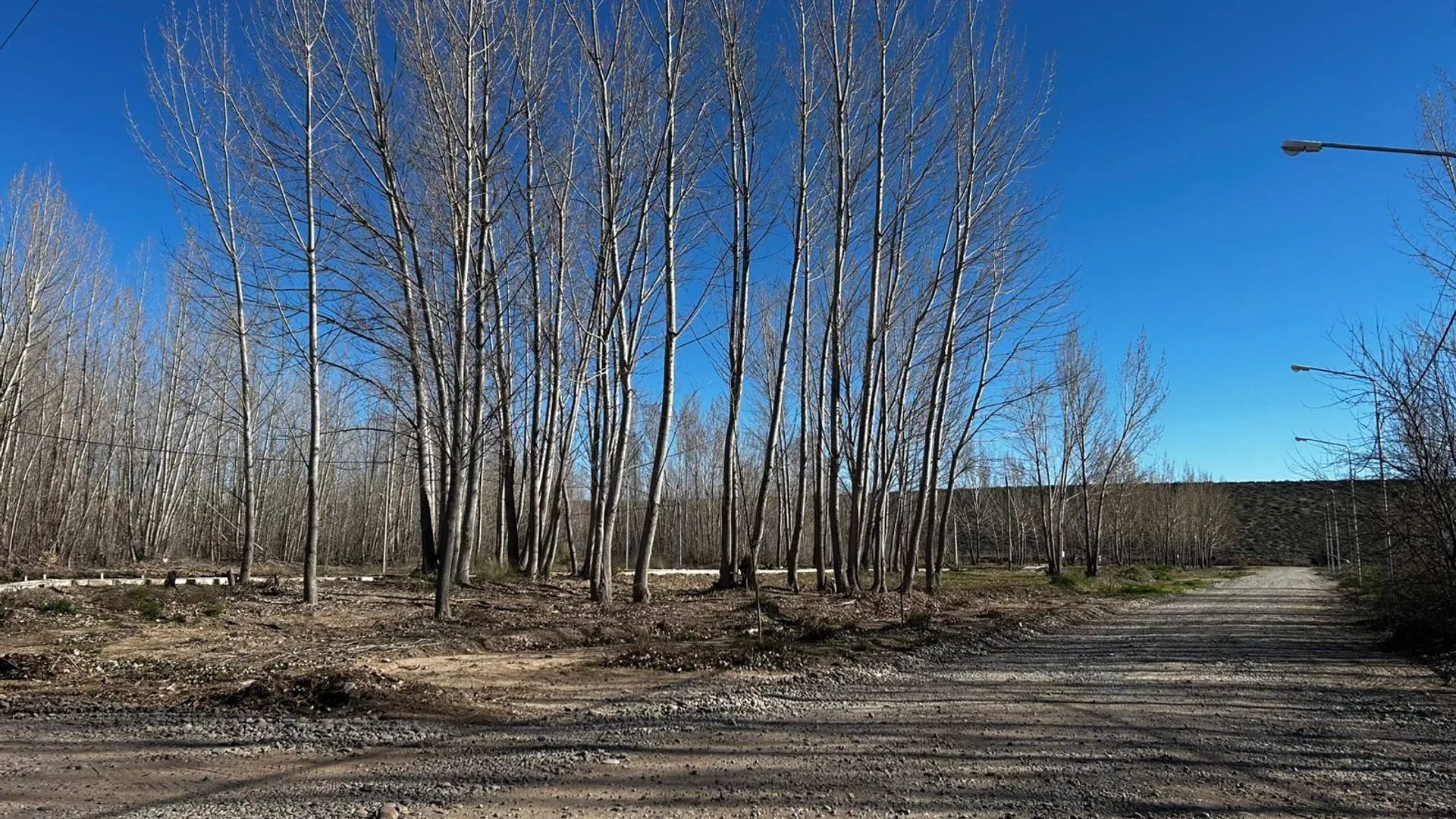 LOTE EN VENTA LA FORESTADA, AÑELO, NEUQUEN foto 2