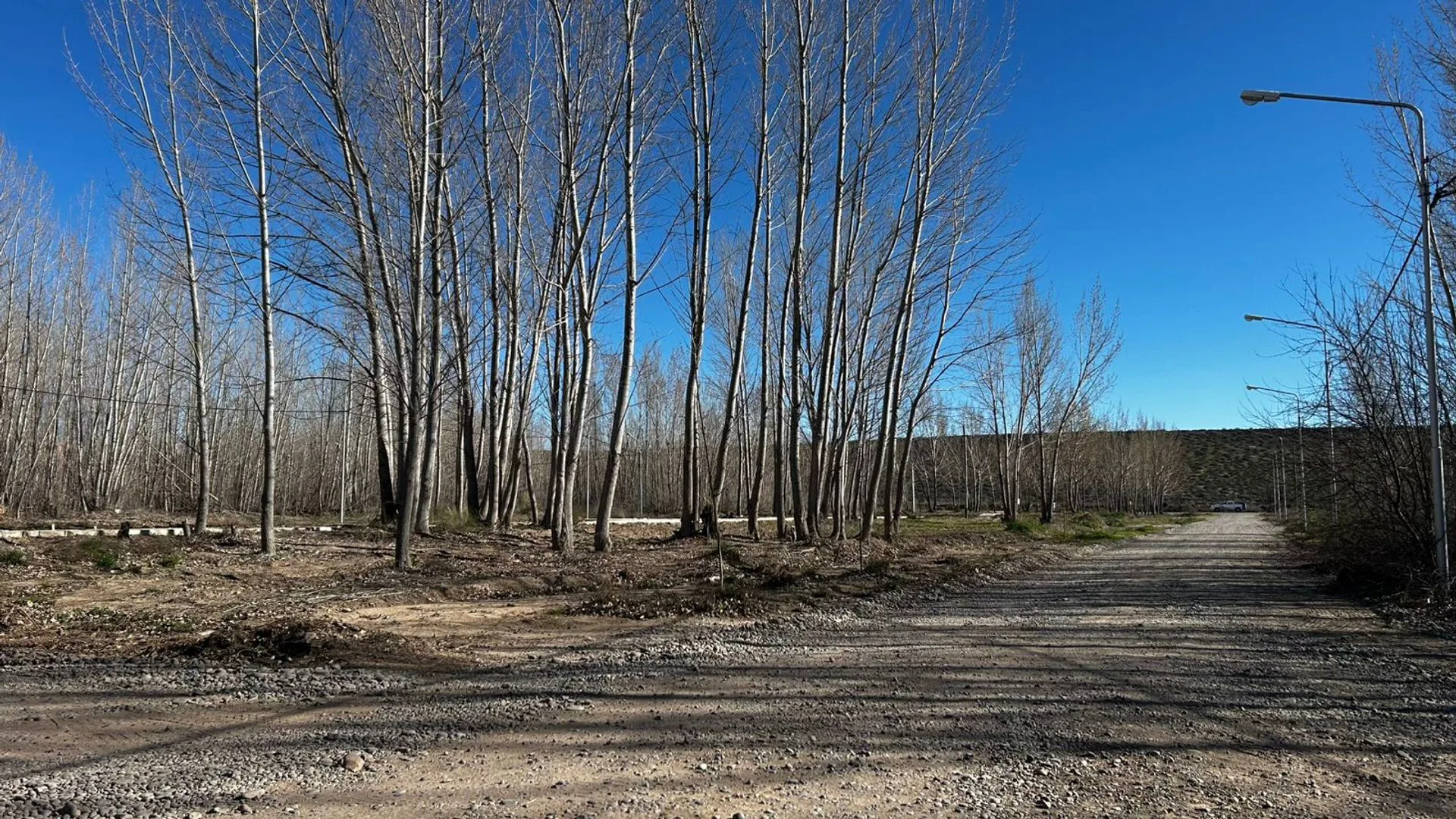 LOTE EN VENTA LA FORESTADA, AÑELO, NEUQUEN foto 3