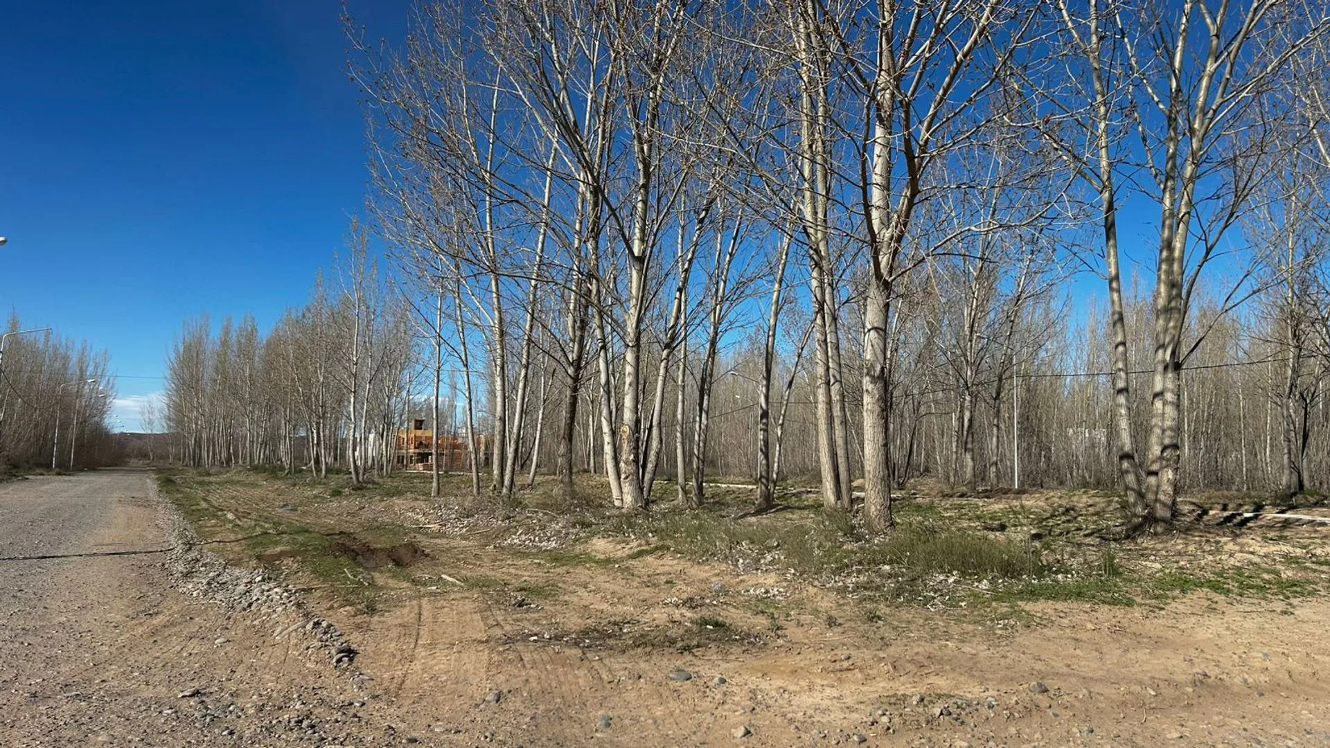 LOTE EN VENTA LA FORESTADA, AÑELO, NEUQUEN foto 5