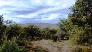 Venta Campo 17 hectáreas – Ruta 1 1500 – Villa Larca – San Luis foto 3
