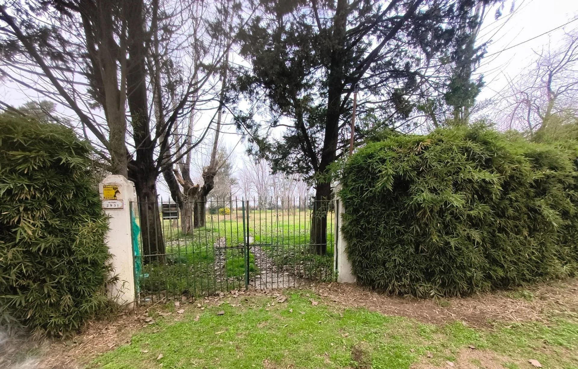 VENTA LOTE 1 HECTAREA PTE DERQUI foto 2