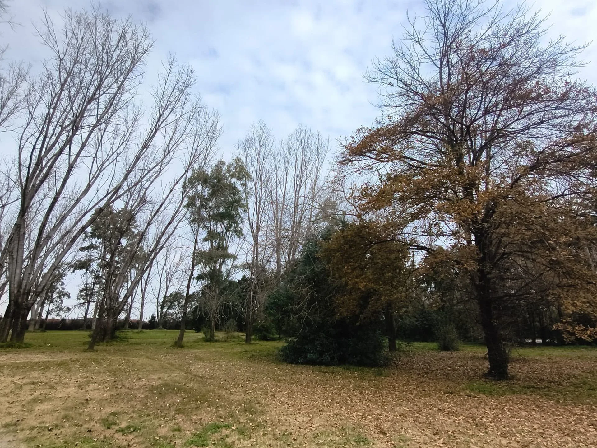 VENTA LOTE 1 HECTAREA PTE DERQUI foto 3