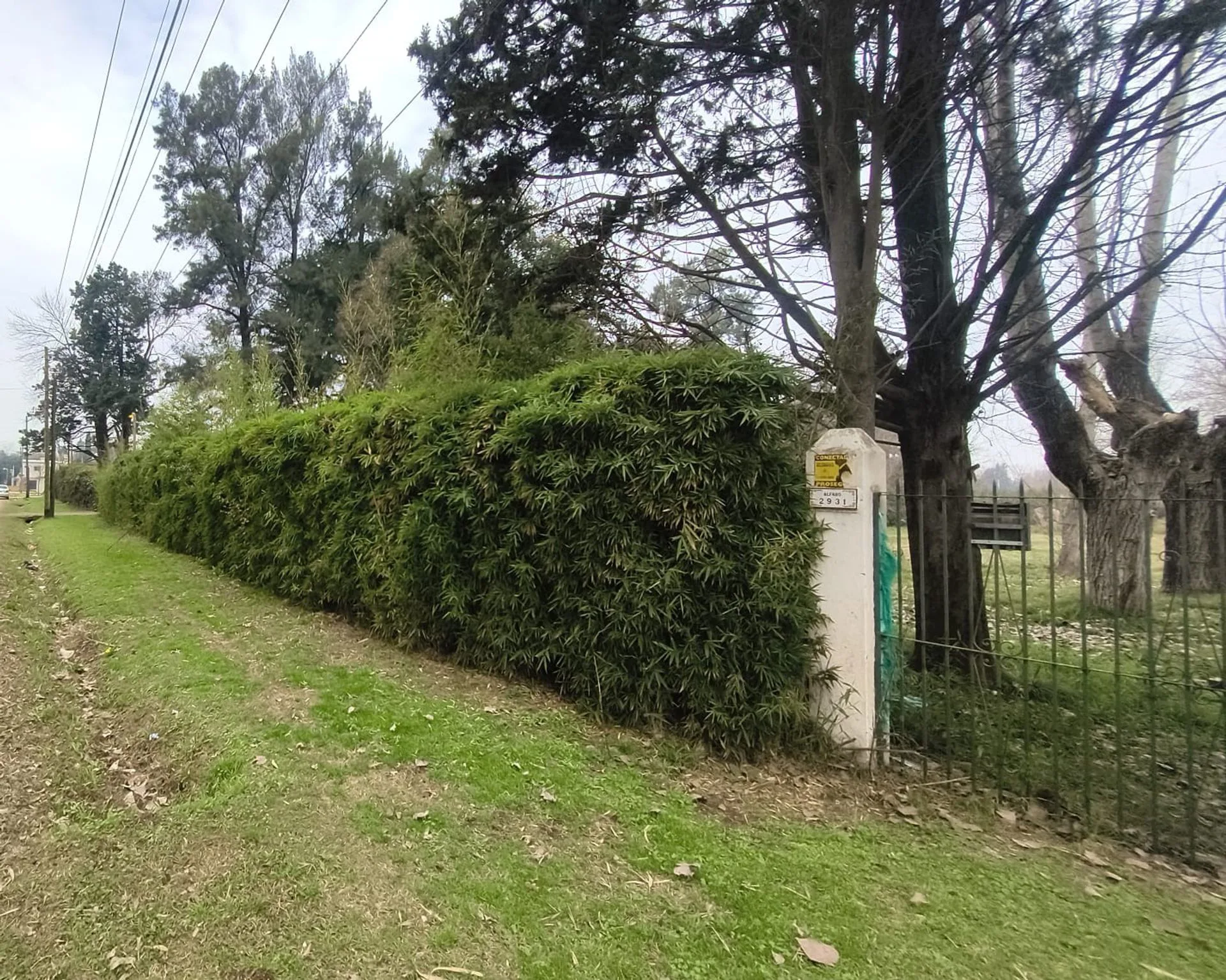 VENTA LOTE 1 HECTAREA PTE DERQUI foto 4