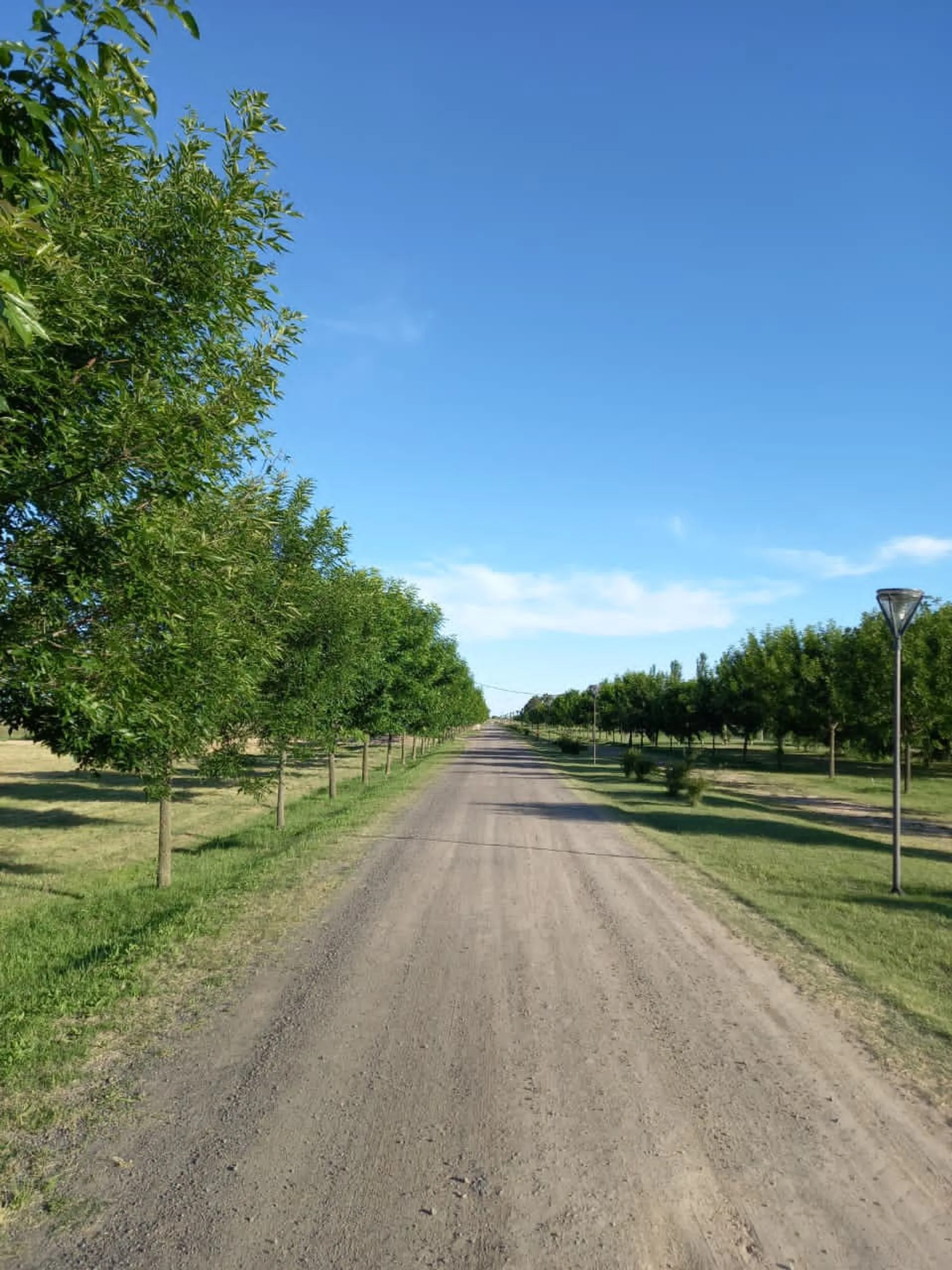 Venta Lote con Obra en La Enriqueta, La Plata foto 5
