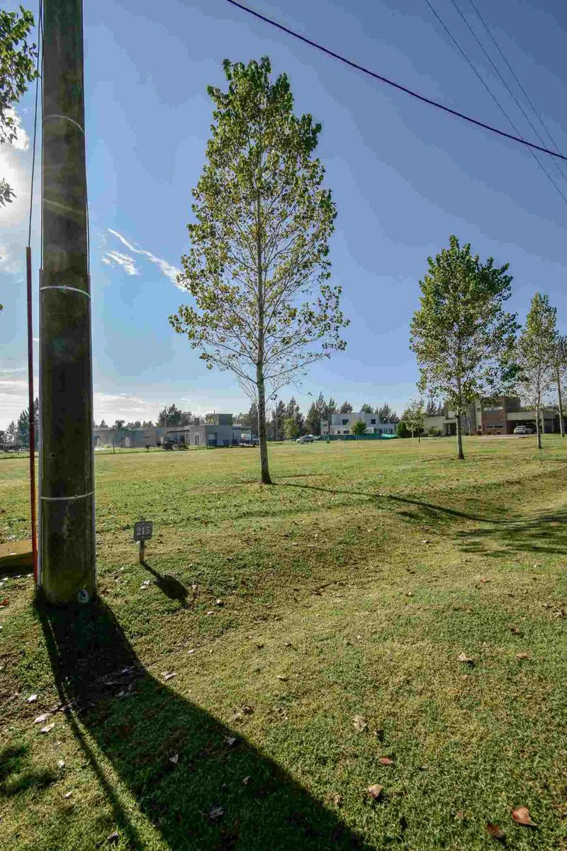 LOTE VENTA FINCAS SAN VICENTE GOLF foto 4