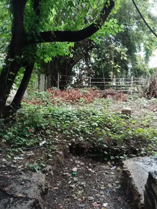 Alquiler de depósito en pleno centro de Adrogué foto 2