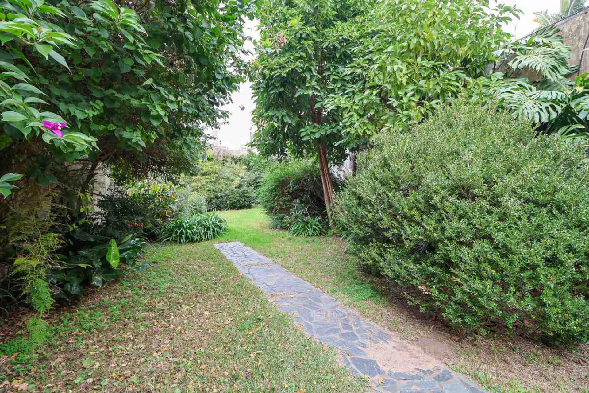 LOTE CASA VENTA NUÑEZ LOTE PROPIO foto 2