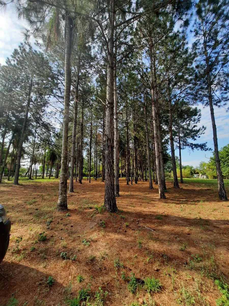 VENTA DE TERRENO EN CORRIENTES foto 3