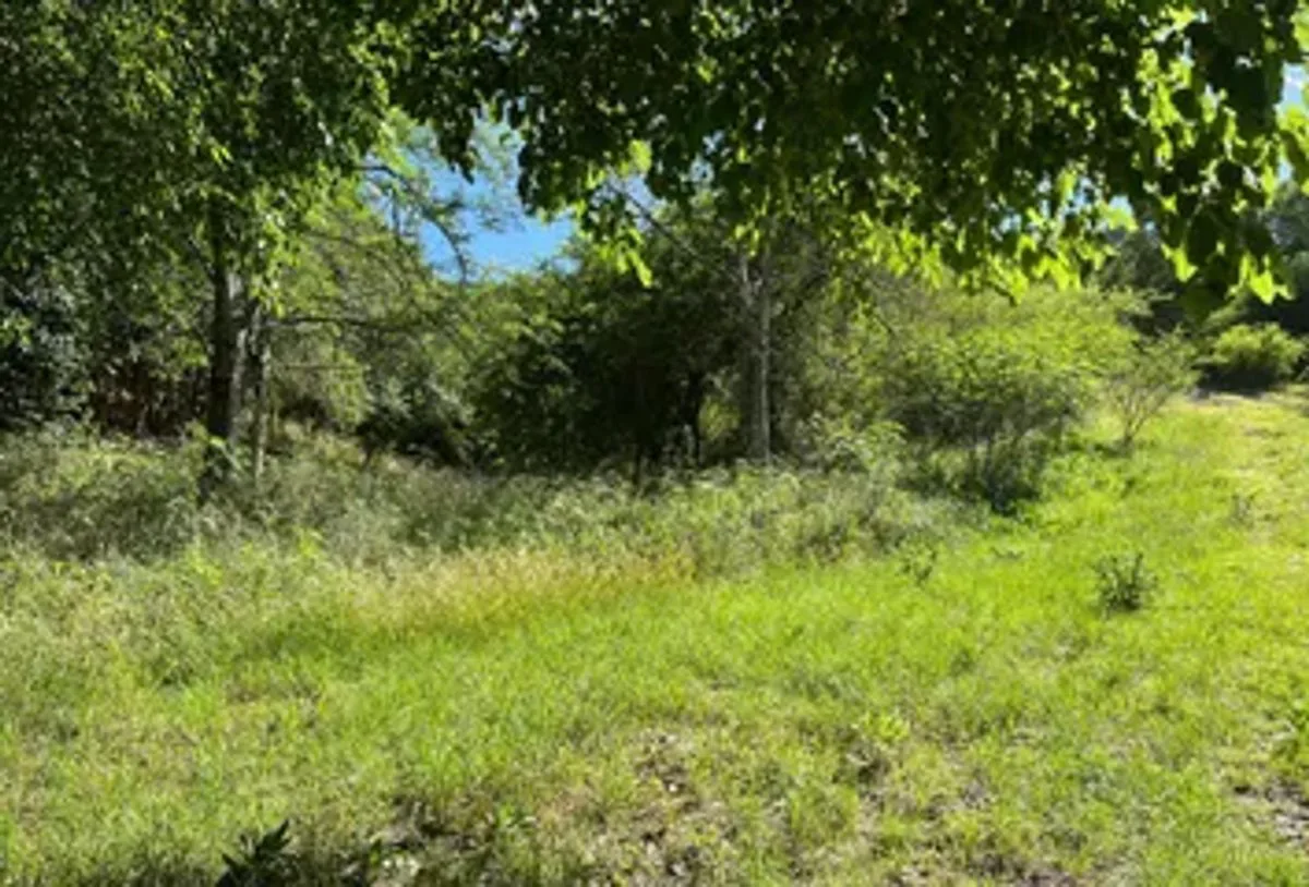 Lote Esquina Unquillo