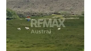 VENTA CAMPO.Lag Palacio.120km de Sarmiento 15000ha foto 2