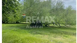 VENTA CAMPO.Lag Palacio.120km de Sarmiento 15000ha foto 4
