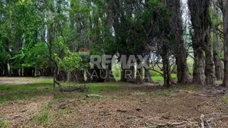 VENTA CAMPO.Lag Palacio.120km de Sarmiento 15000ha foto 5