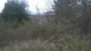 Lote de 800 m2, a mts de la ruta, escuela secundaria, dispensario, policia, locales comerciales, Ideal Vivienda Permanente. con todos los servicios y foto 4