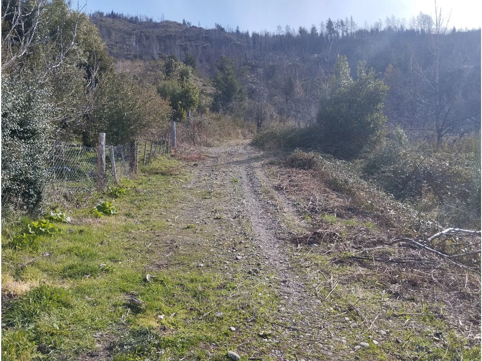 EL HOYO (Rincon Currumahuida) Terreno 2Has. Zona de Viñedos foto 4