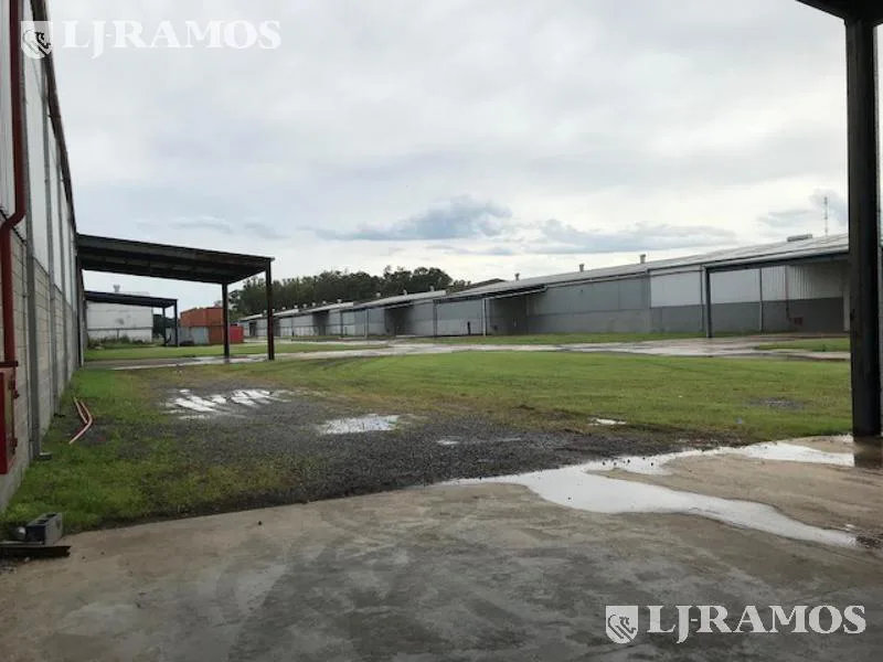 Depósito en Alquiler en Zárate foto 5