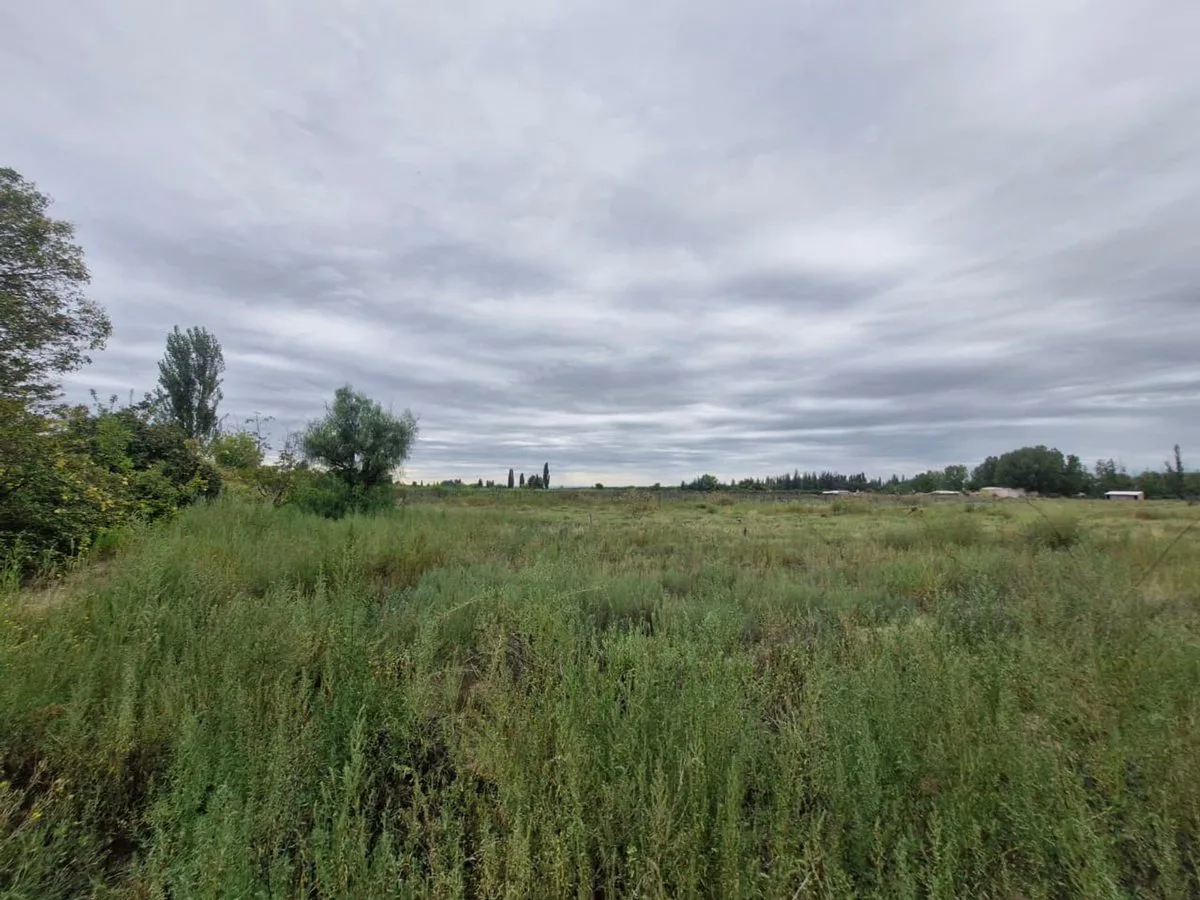 LOTE EN VENTA EN TUPUNGATO LA ARBOLEDA foto 3