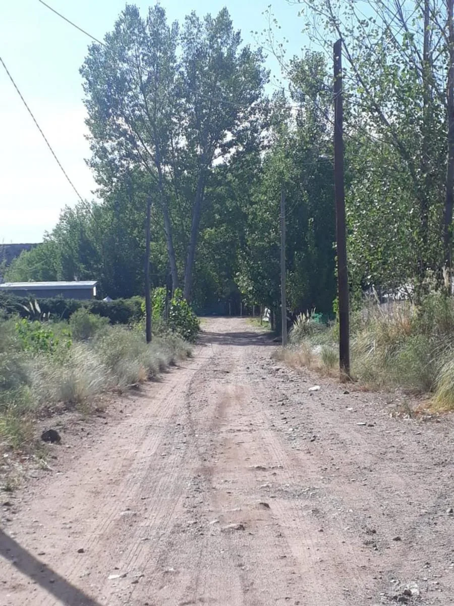 LOTE EN VENTA EN TUPUNGATO LA ARBOLEDA foto 4