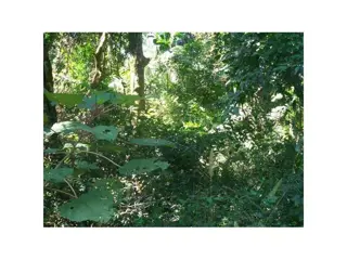 ZEBALLOS INMOBILIARIA VENDE foto 4