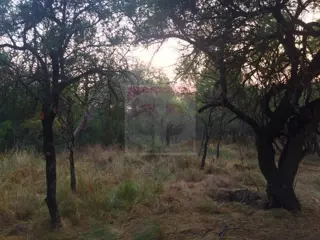 Venta lote de 2,5 hectáreas en Toay foto 3
