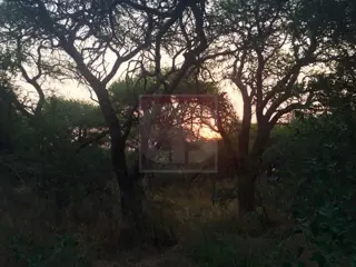 Venta lote de 2,5 hectáreas en Toay foto 5