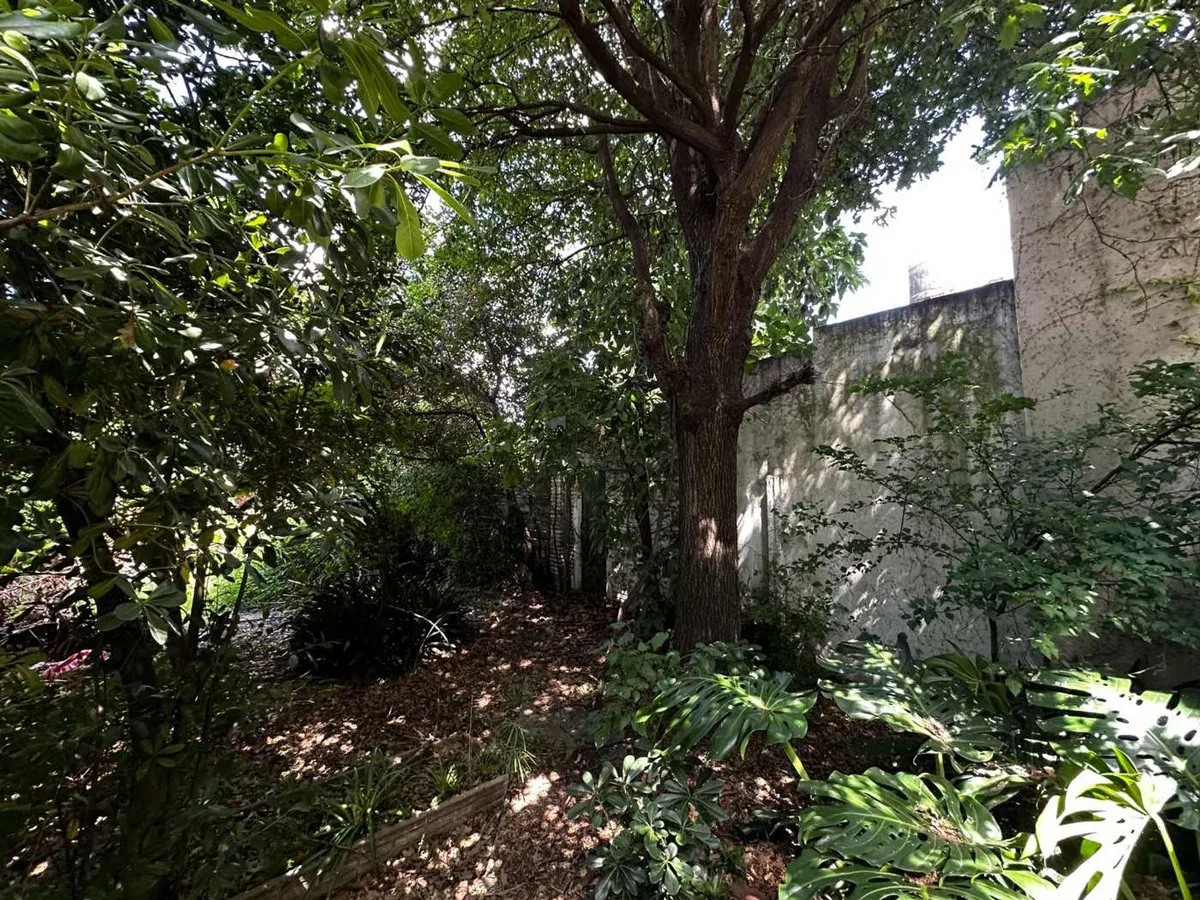 LOTE EN  VENTA LA PLATA IDEAL DESARROLLO foto 3
