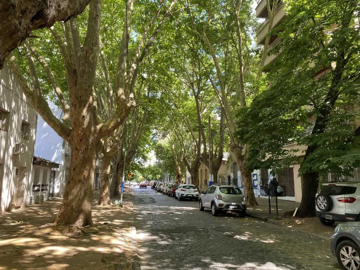 LOTE EN  VENTA LA PLATA IDEAL DESARROLLO foto 4