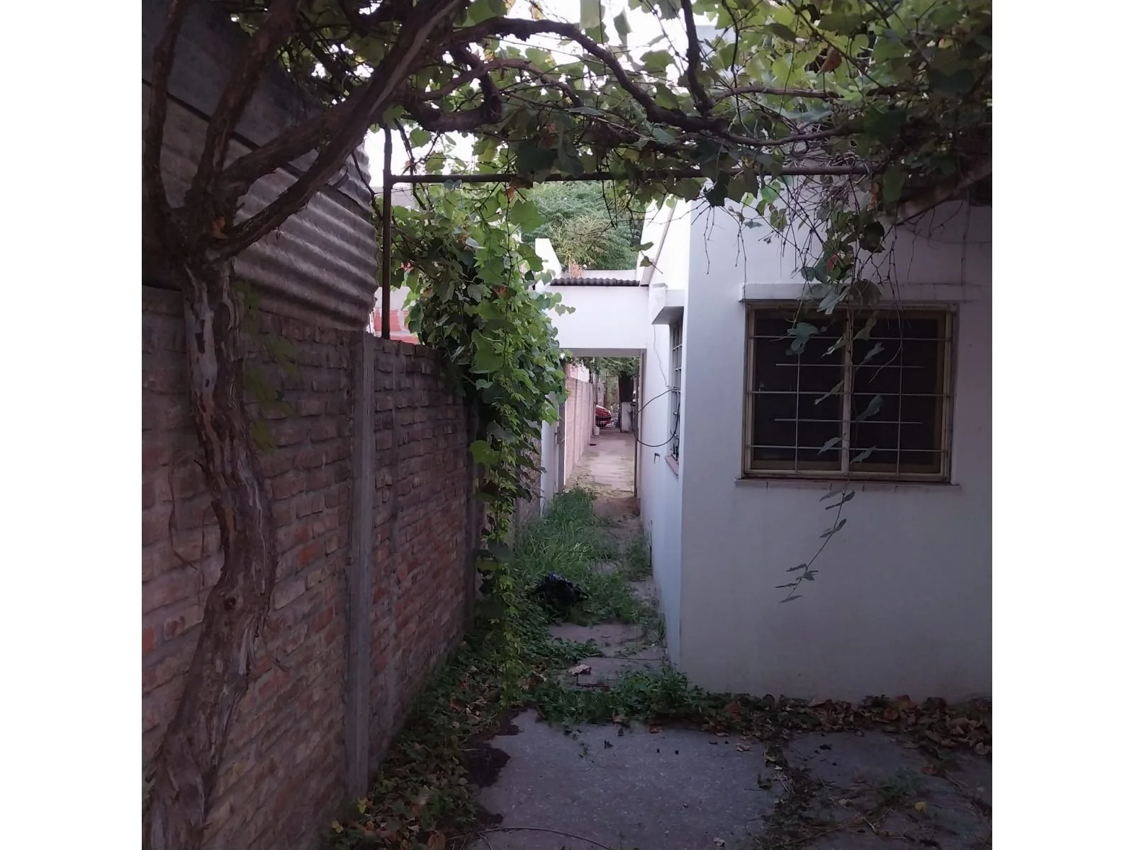 CASA, CON LOTE DE 50m DE FONDO 4 AMB, EN BUEN ESTADO foto 3
