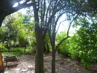 VENTA DE LOTE foto 2