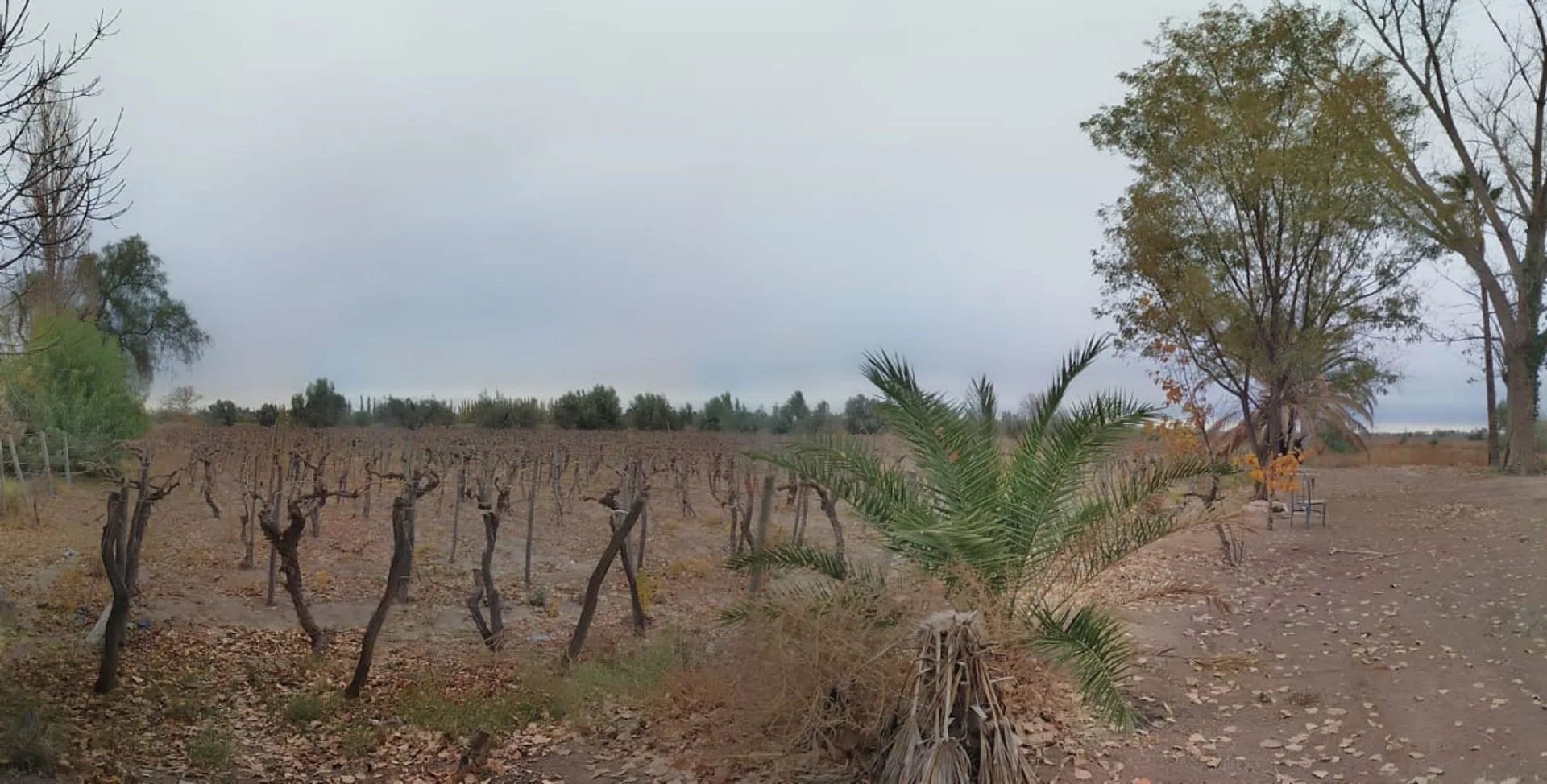 VENTA Finca 4 hectareas en Junin foto 4