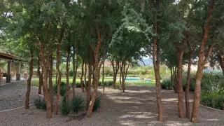 CAFAYATE -Excelente Casa foto 3