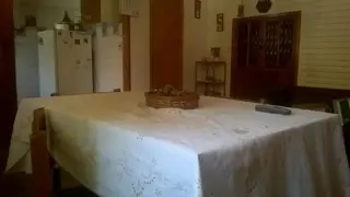 VENTA DE CASA MAS DEPARTAMENTO SOBRE AMPLIO LOTE Y MUY BIEN UBICADO foto 5