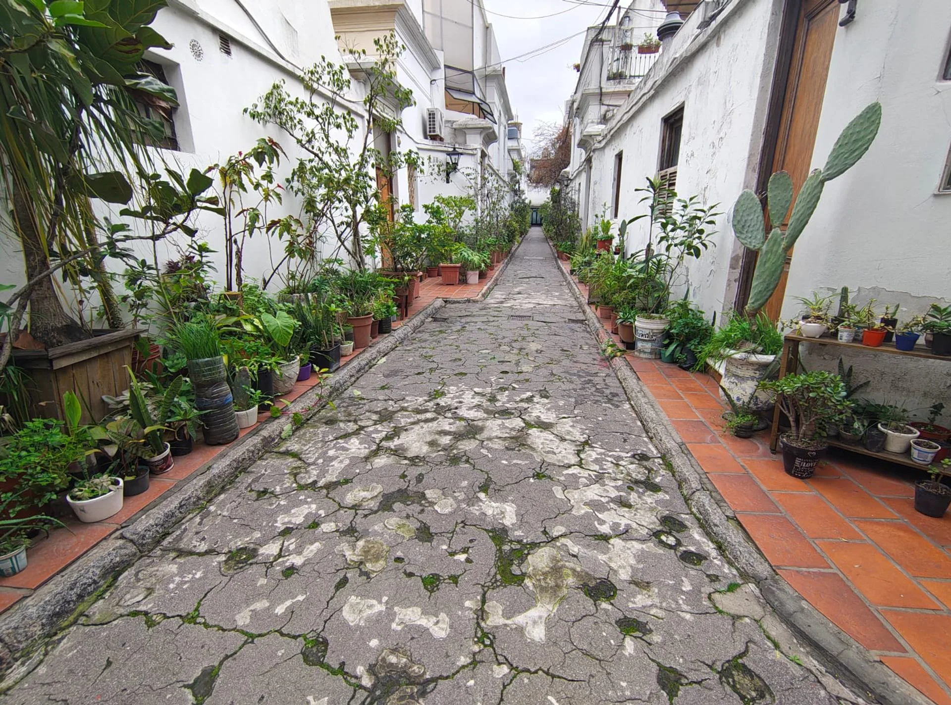 VENTA PH Y LOCAL - SAN CRISTOBAL  CABA foto 2