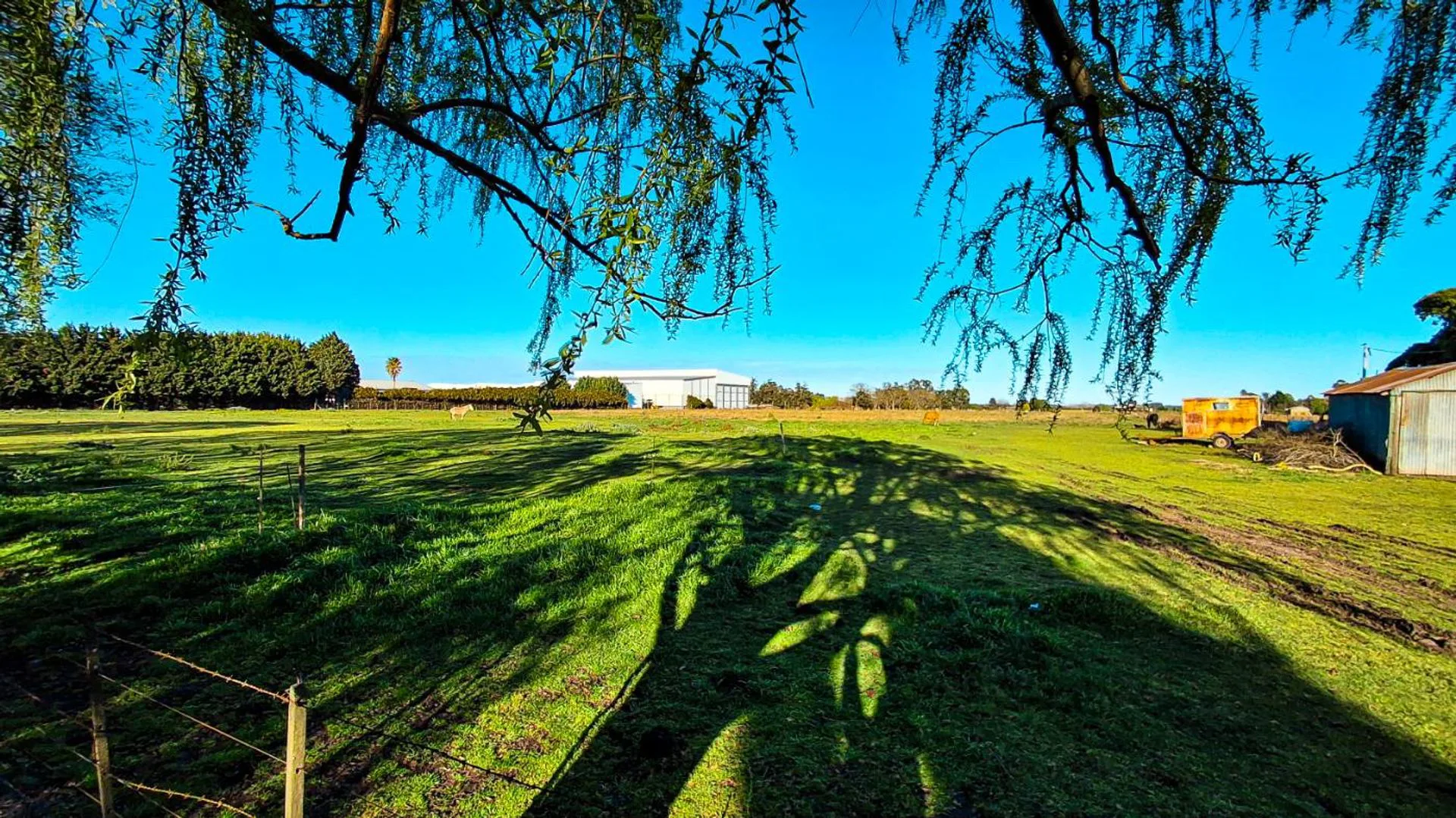 VENTA CAMPO 2,63 HA SOBRE ASFALTO C/ SERVICIOS foto 2