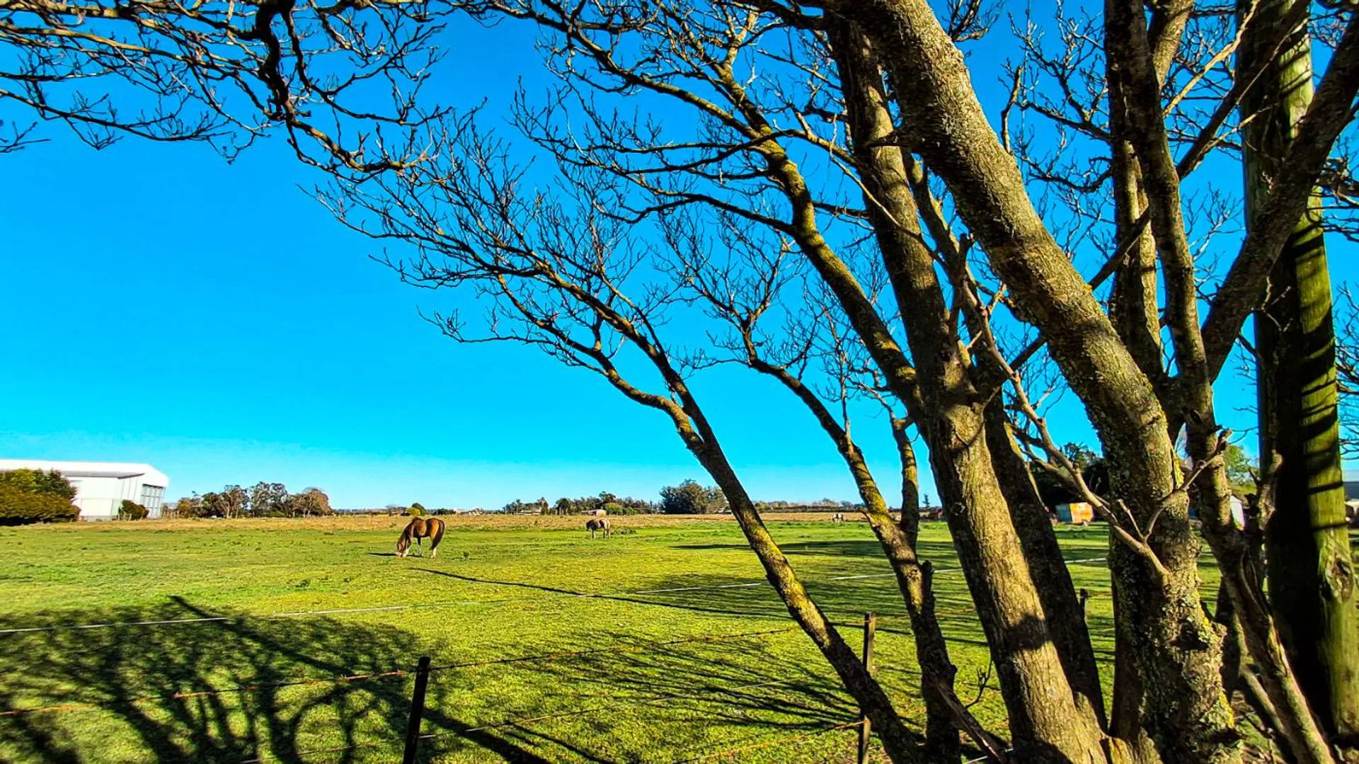 VENTA CAMPO 2,63 HA SOBRE ASFALTO C/ SERVICIOS foto 3