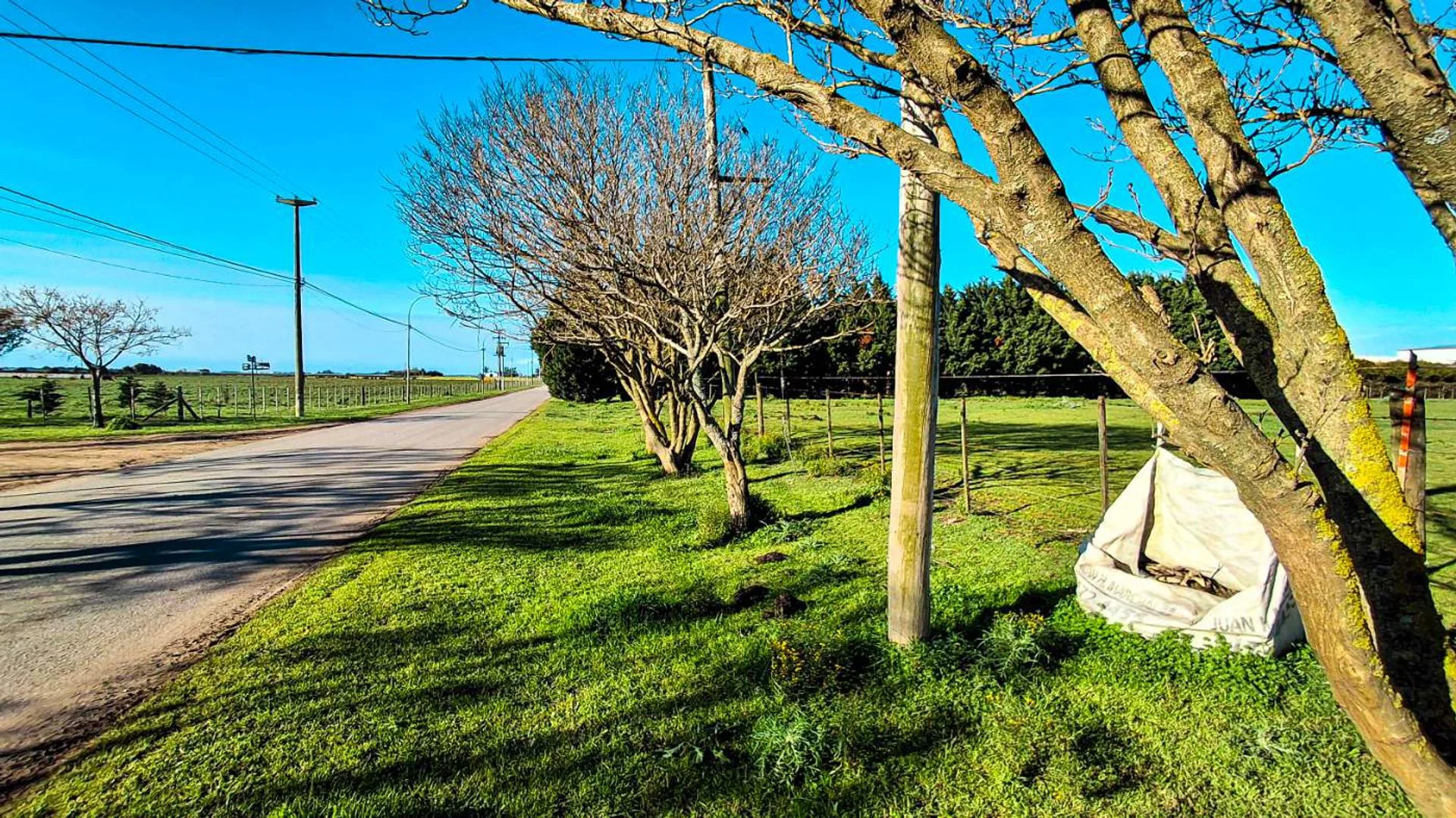 VENTA CAMPO 2,63 HA SOBRE ASFALTO C/ SERVICIOS foto 5