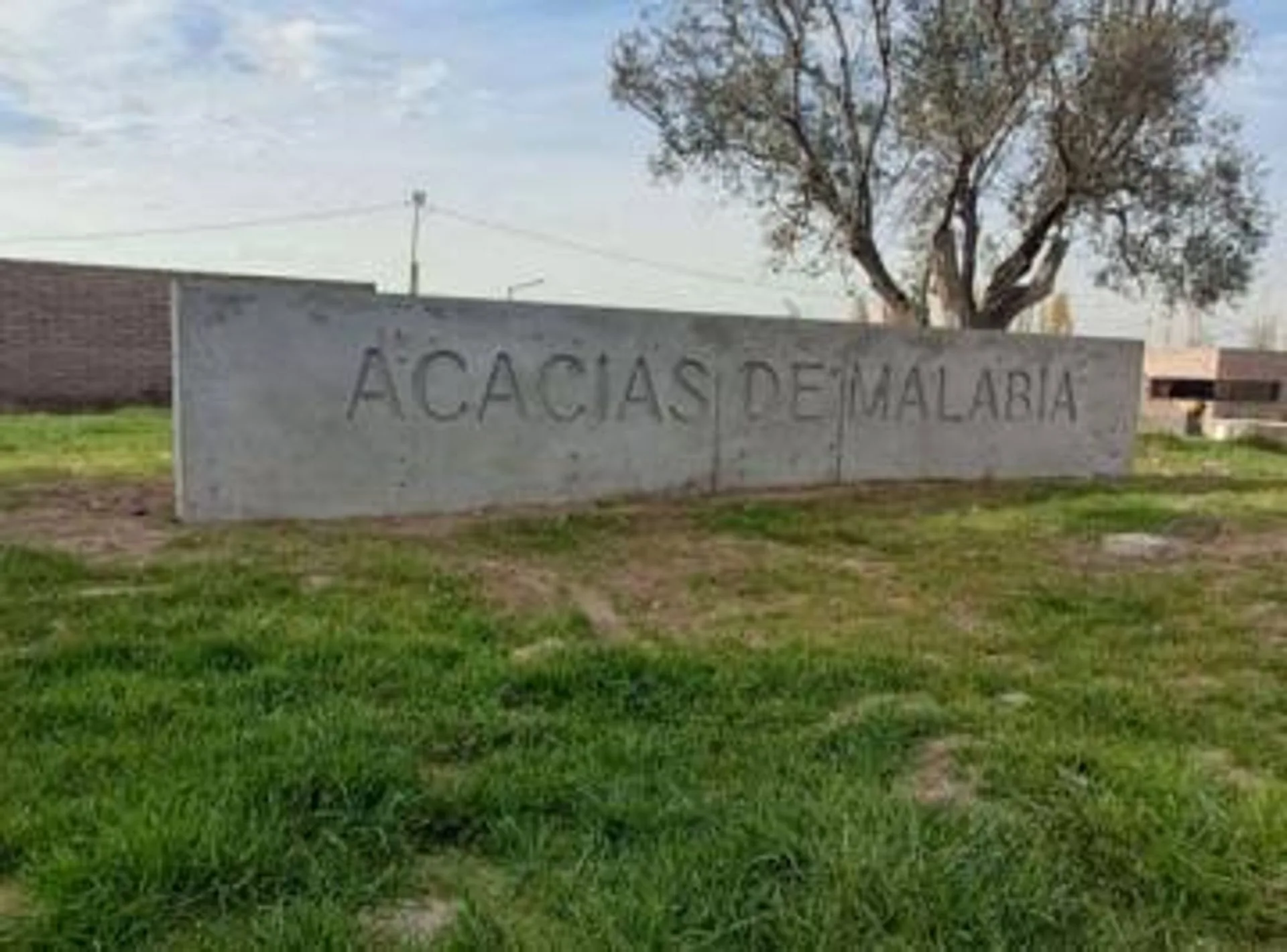 VENTA LOTE ACACIAS MALABIA 300 MTS foto 2
