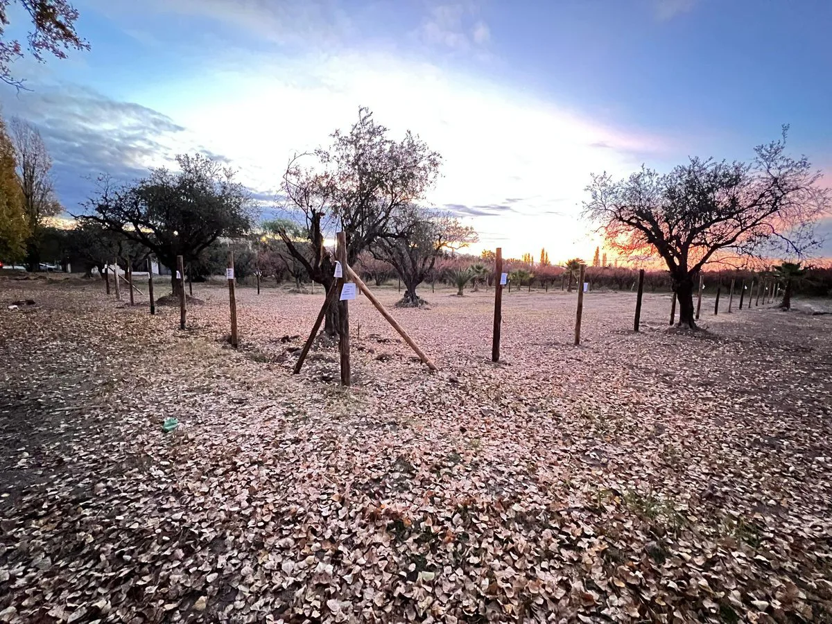 TERRENO EN VENTA LAS HERAS IDEAL DESARROLLO foto 2