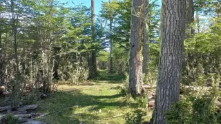 LOTE EN VENTA - TOLHUIN foto 4