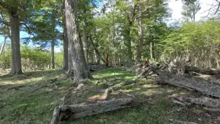 LOTE EN VENTA - TOLHUIN foto 5