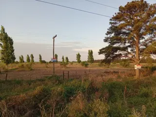 Terreno en Venta km 68 Ruta 1 foto 4