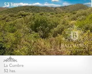 52 HAS EN LA CUMBRE  - ACCESO SOBRE CAMINO DE LOS ARTESANOS. LUZ EN CAMPO - GRAN VISTA. IDEAL PROYECTO TURÍSTICO - UN ARROYO LO ATRAVIESA - CERCA DEL foto 5