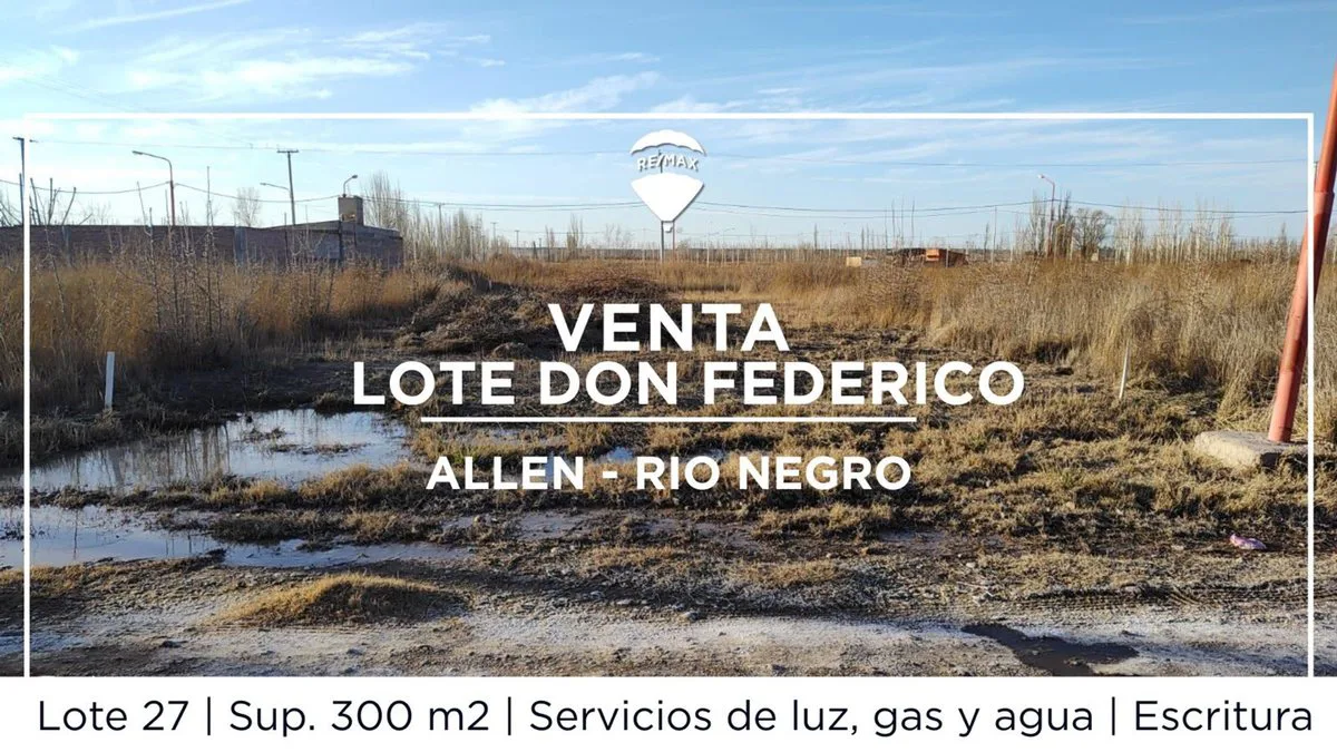 TERRENO VENTA ALLEN