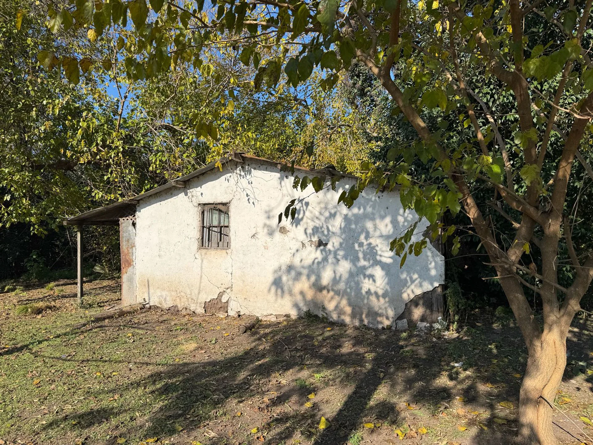 CAMPO EN VENTA 17 HECTAREAS PILAR RUTA 25 foto 4