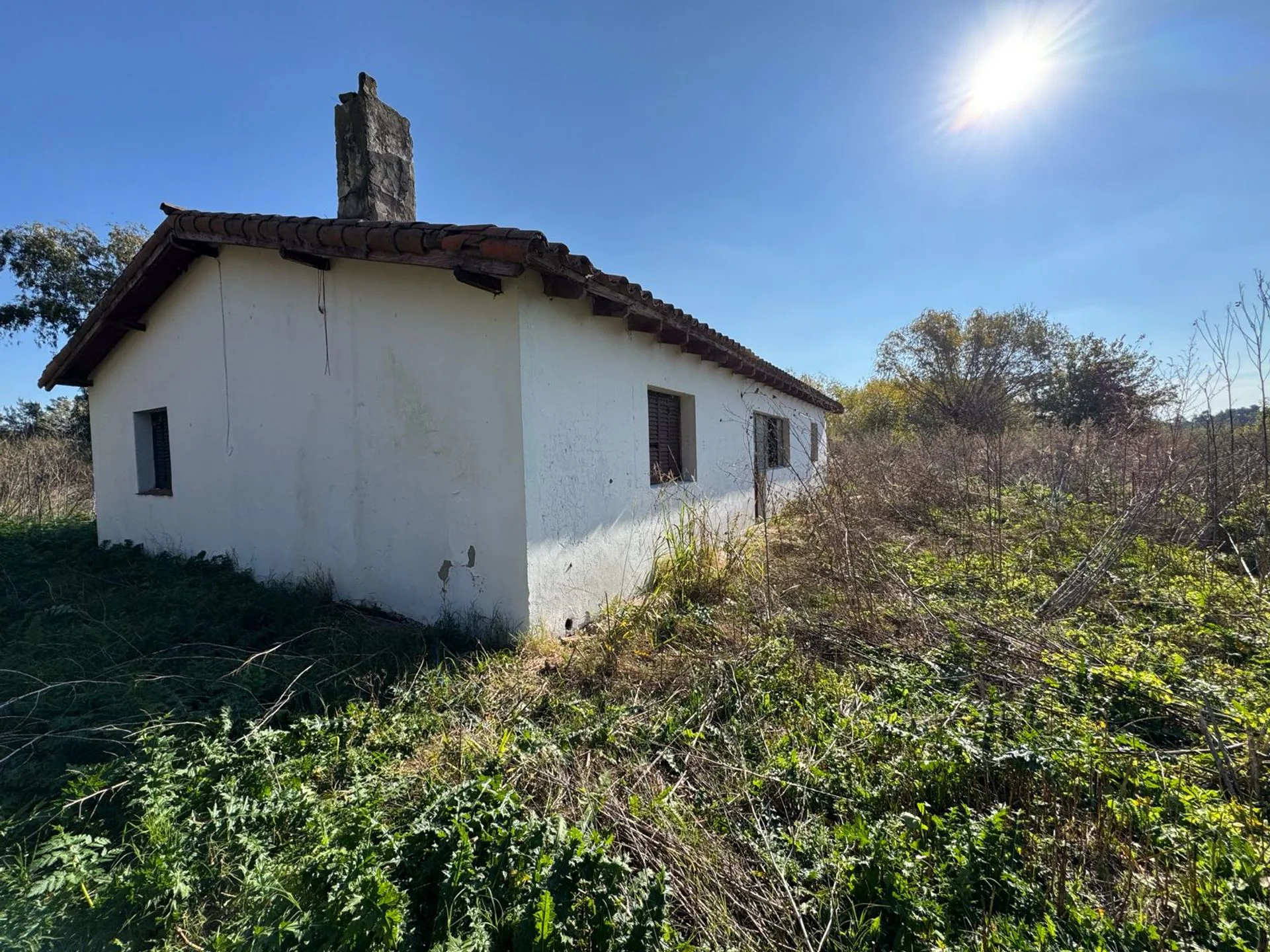 CAMPO EN VENTA 17 HECTAREAS PILAR RUTA 25 foto 5