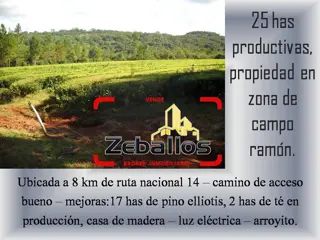 Se vende 25 has, Propiedad Productiva. foto 1