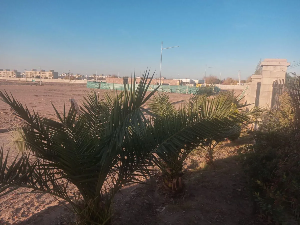 Lote en Venta en Barrio Pinar del Sol IX, Maipú foto 5