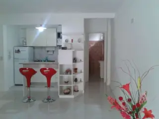 LINDO AMBIENTE AMPLIO AL FRENTE , AMOBLADO , MUY LUMINOSO EXCELENTE ZONA , NO SE ACEPTAN MASCOTAS ALQUILER CON AUMENTO SEMESTRAL foto 4