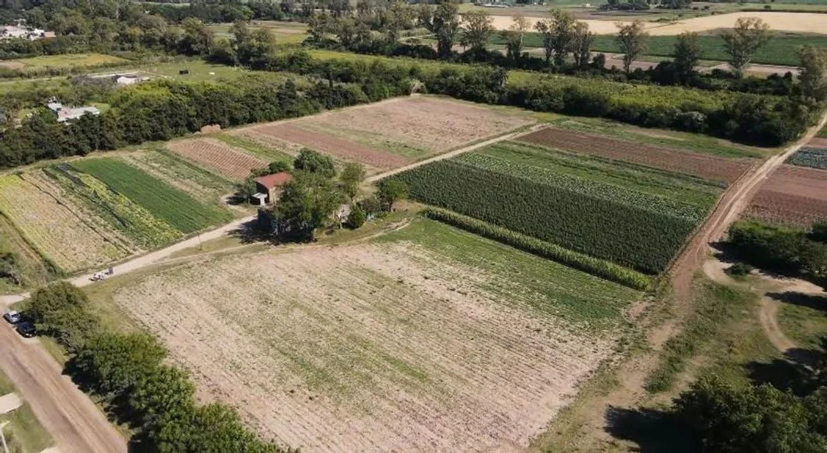 TERRENO EN LOTEO SAN MIGUEL - 200m² foto 3