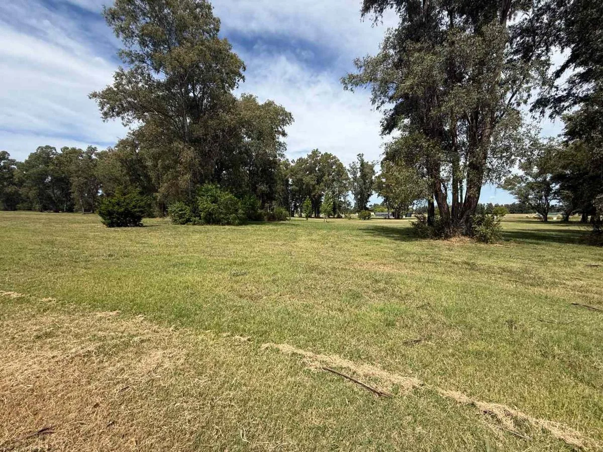 LOTE EN PINARES COUNTRY CLUB foto 2